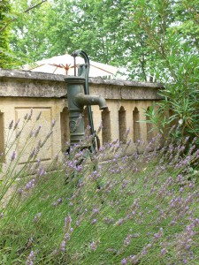 Brunnen inmitten des Lavendels